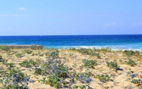 Dunes at Razo-Baldaio, Death Coast, Northern Galicia