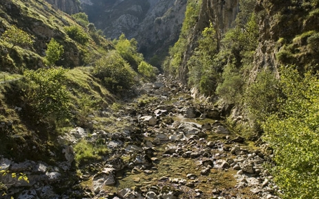 Dramatic Hermida gorge in Cantabria