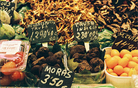Truffles at Barcelona´s market