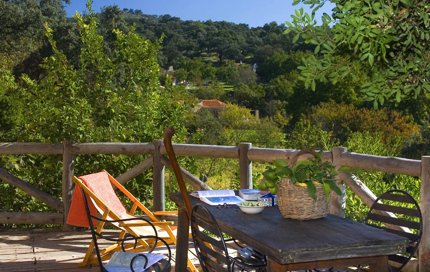 Vistas desde la terraza