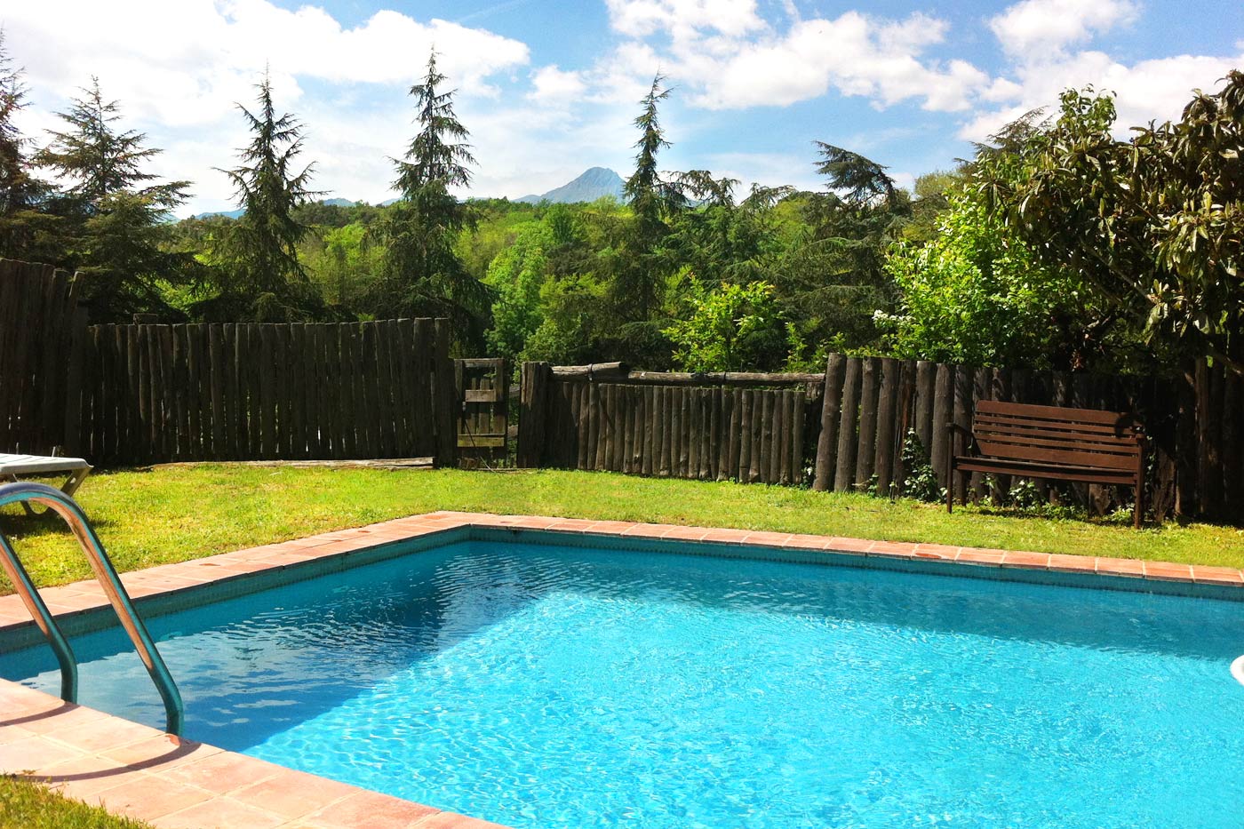 The shared pool is surrounded by trees
