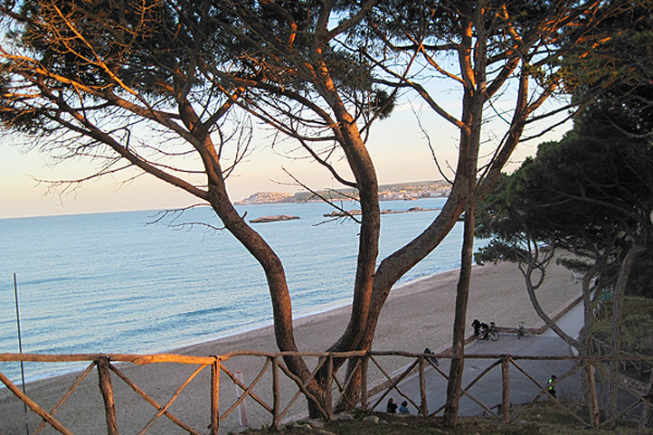 Beaches are 30 minutes away