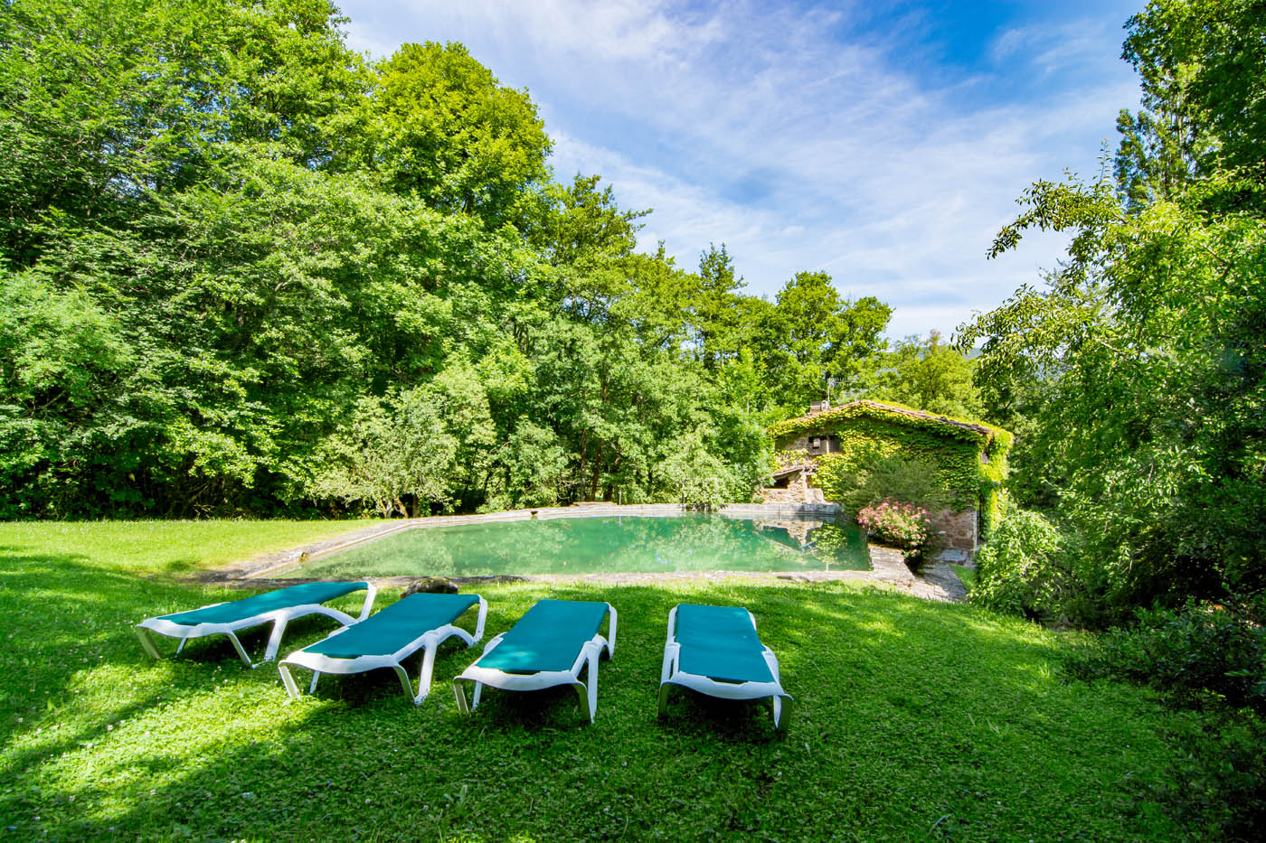 Sunbathing and wild swimming