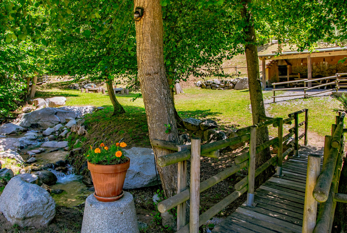 Charming arrival via wooden bridge