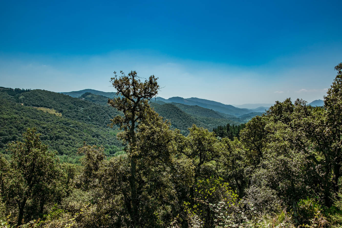 ...and this the valley seen from above