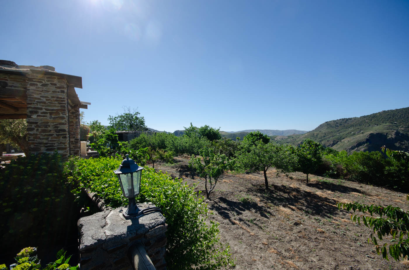 Sus propios huertos frutales, elija su fruta de temporada