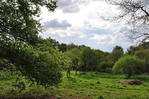 Galicia interior (Pontevedra)
