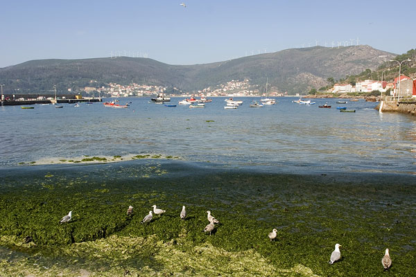 O Pindo: the sea beneath the mount