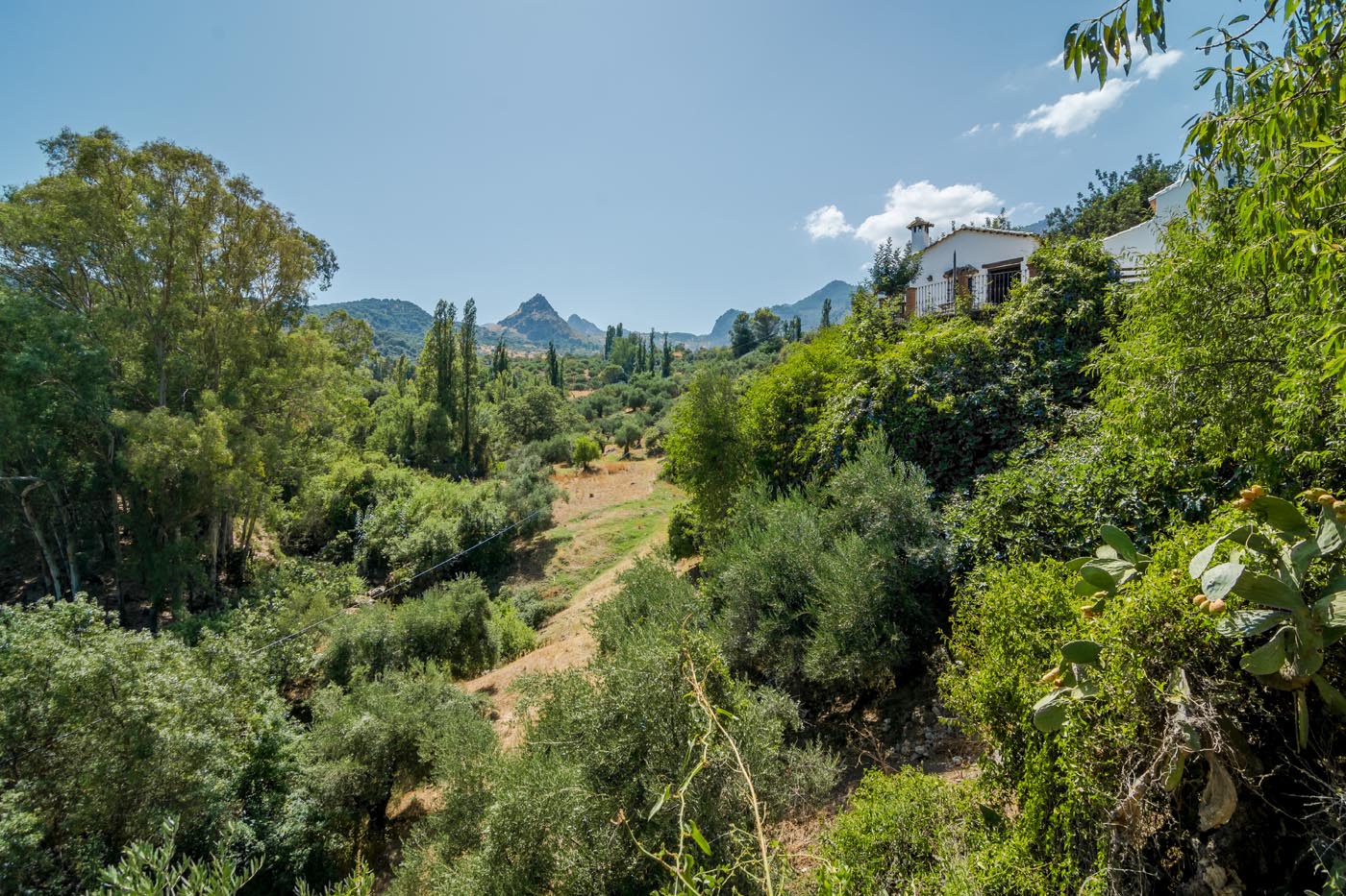 The villa seen from countryside below the cottage