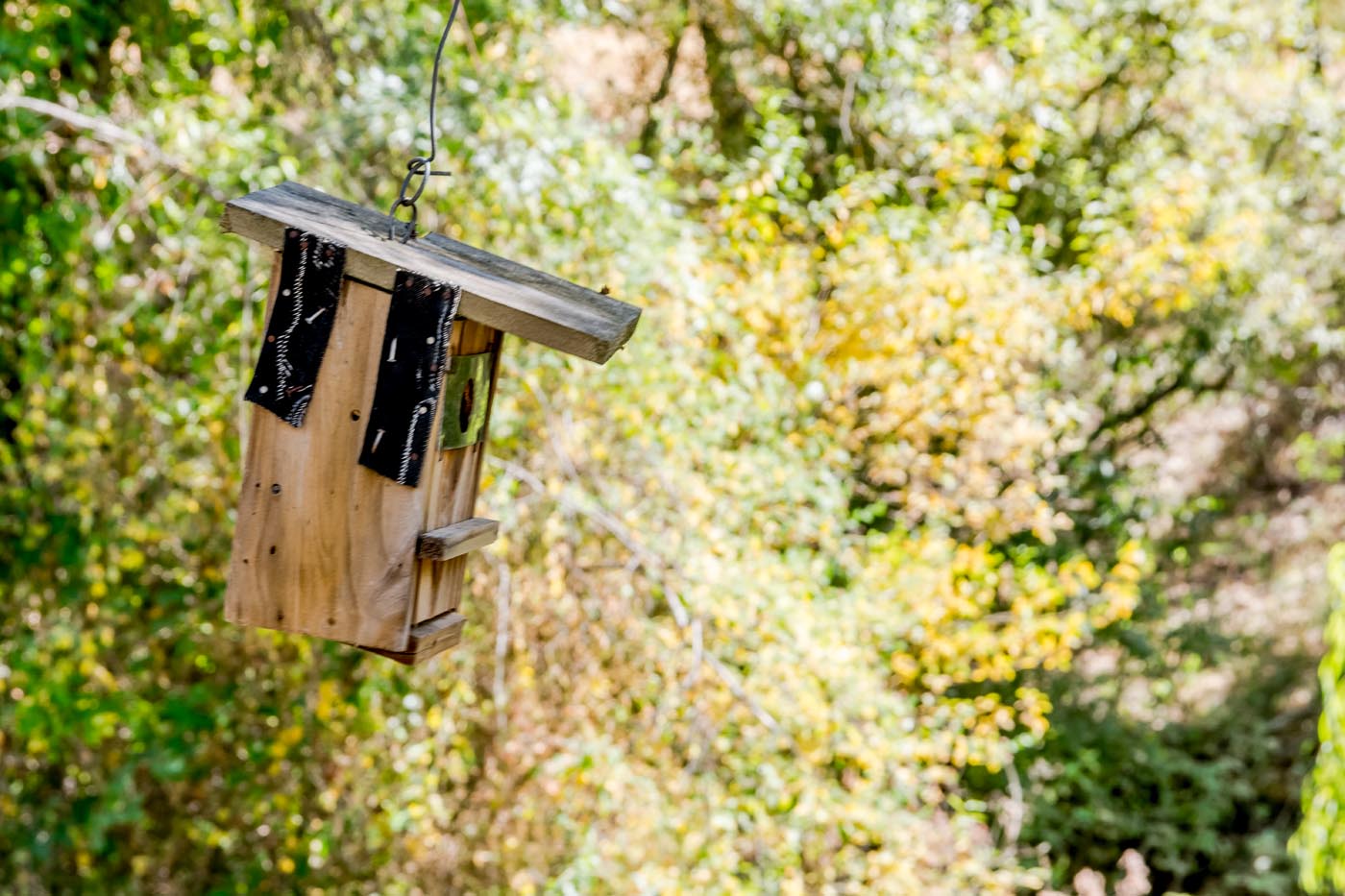 Enjoy the surrounding nature