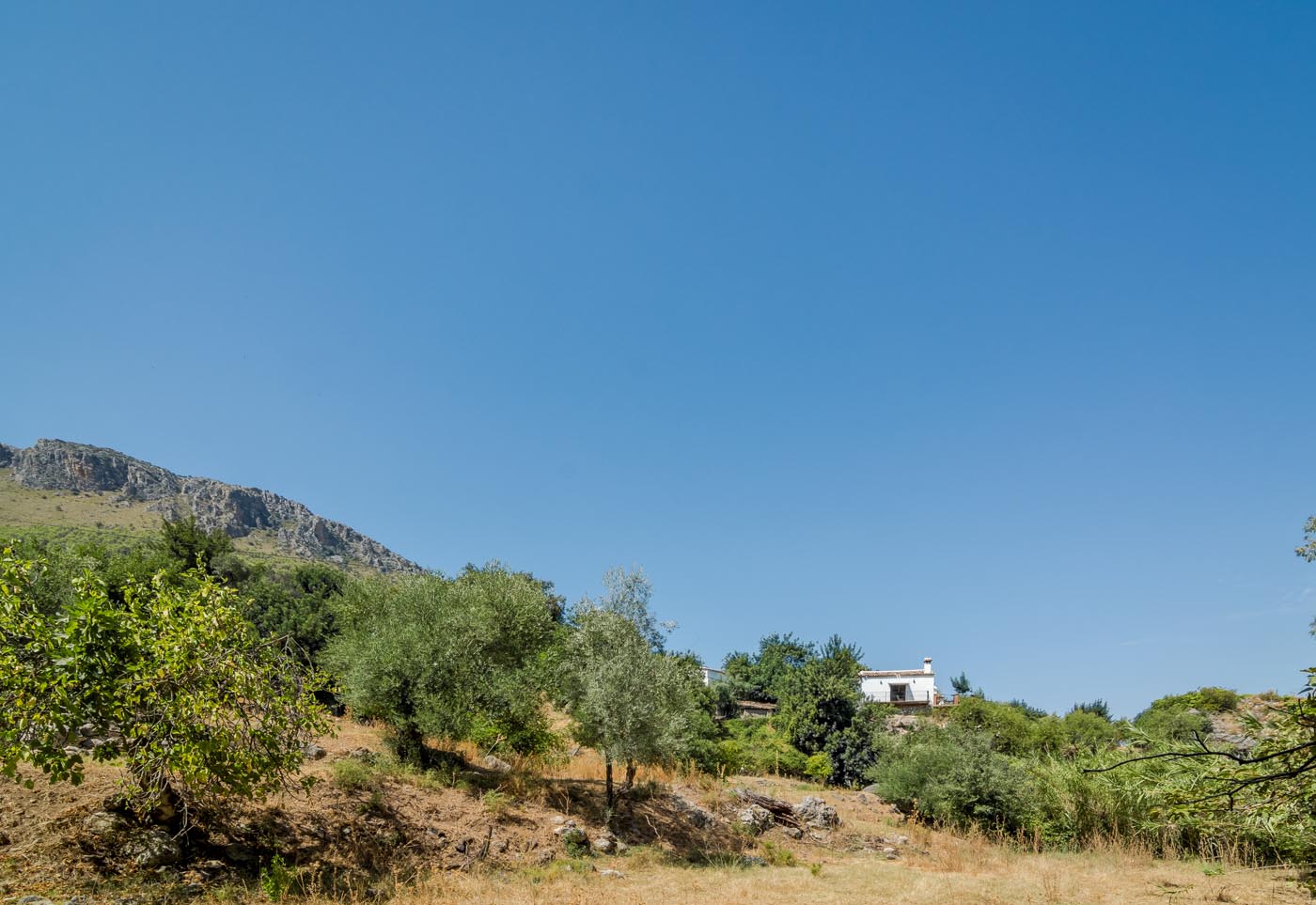 The house seen from the river
