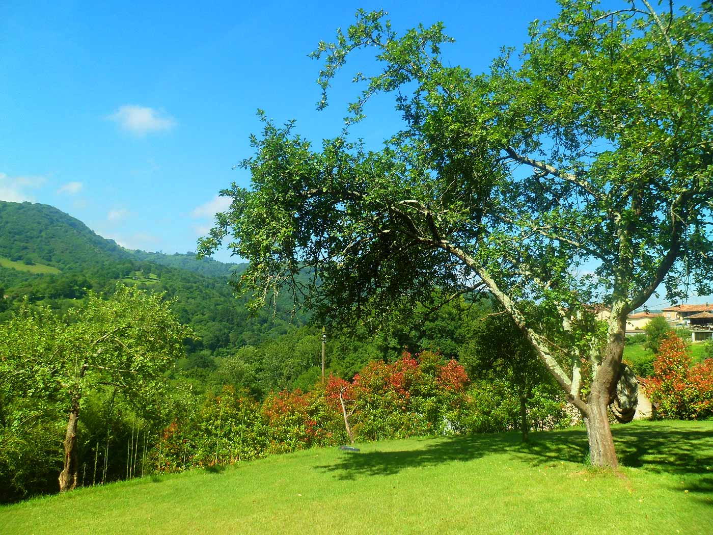 Verano en esta bonita propiedad
