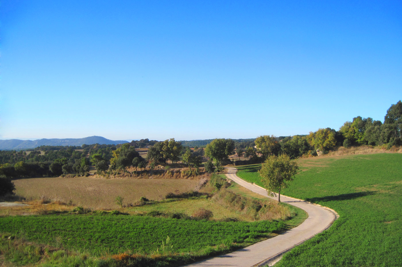 El camino corto hasta la propiedad está pavimentado
