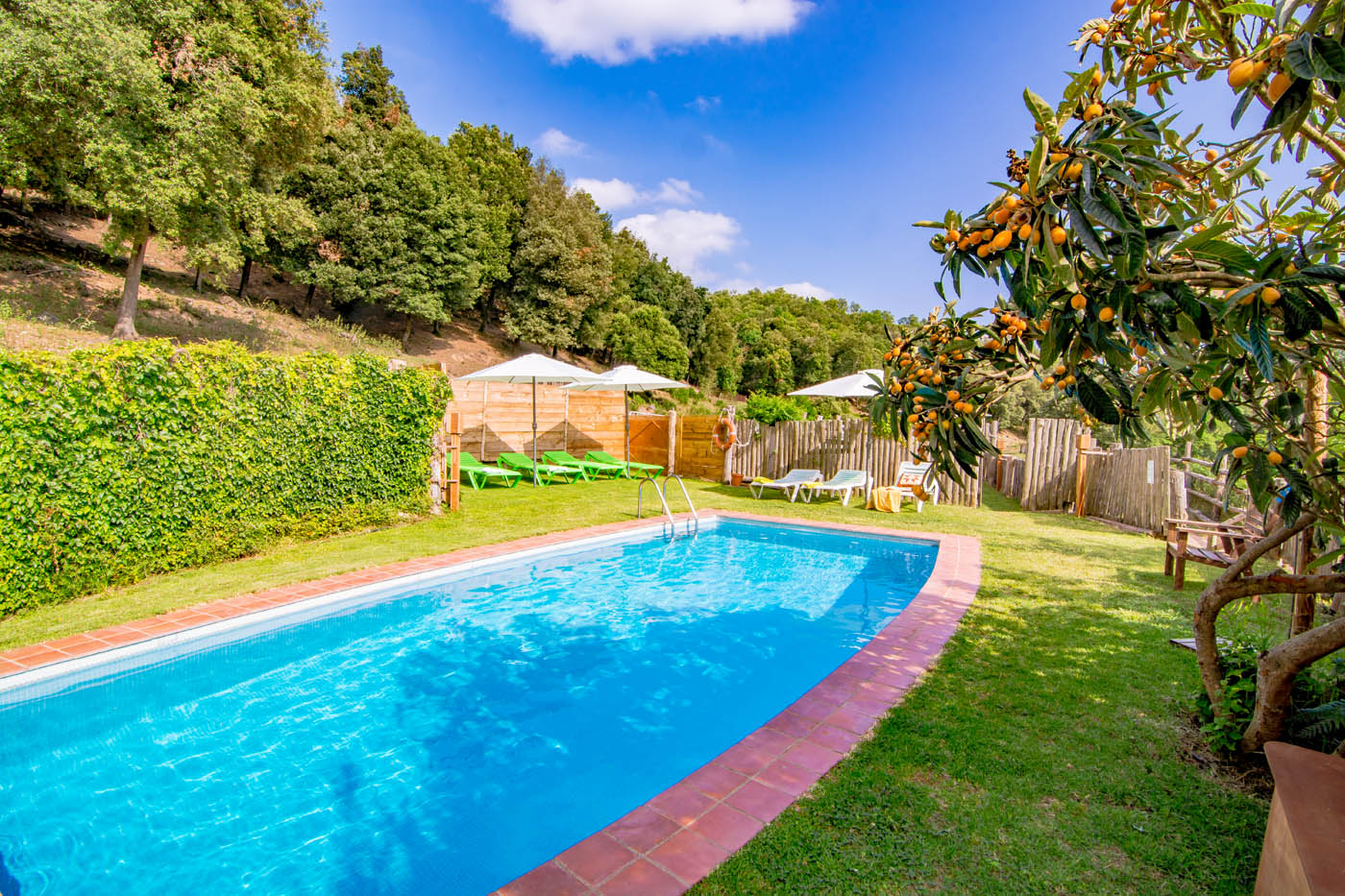 Pool and lawned gardens with loquat fruit tree