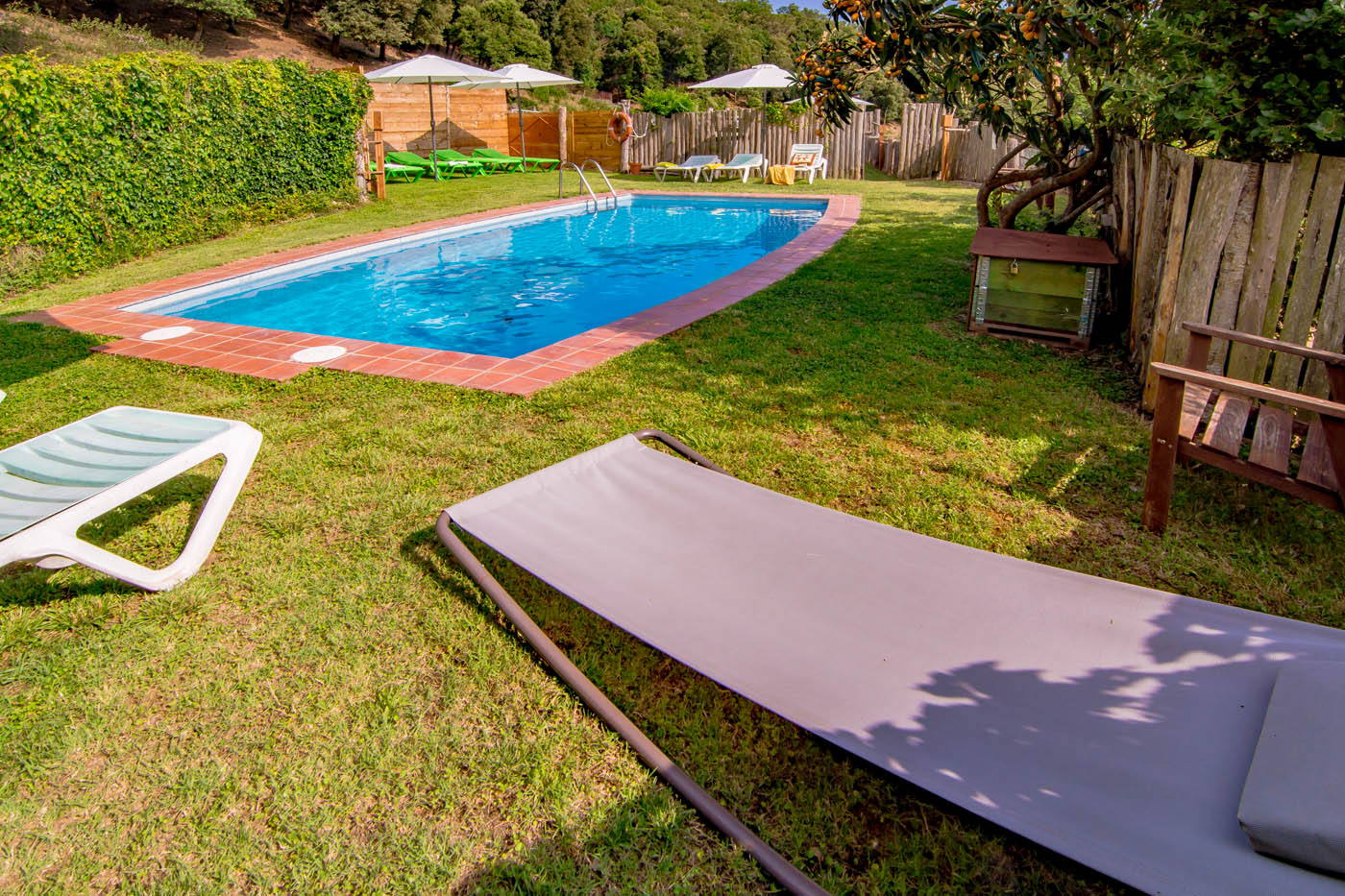 Pool with sunloungers