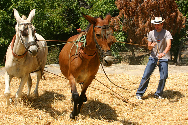 Locals in Portugos, La Taha, Alpujarras