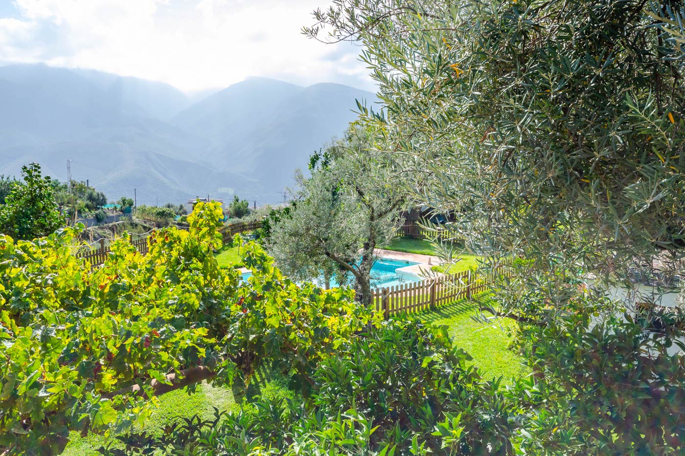 Pool seen from parking area