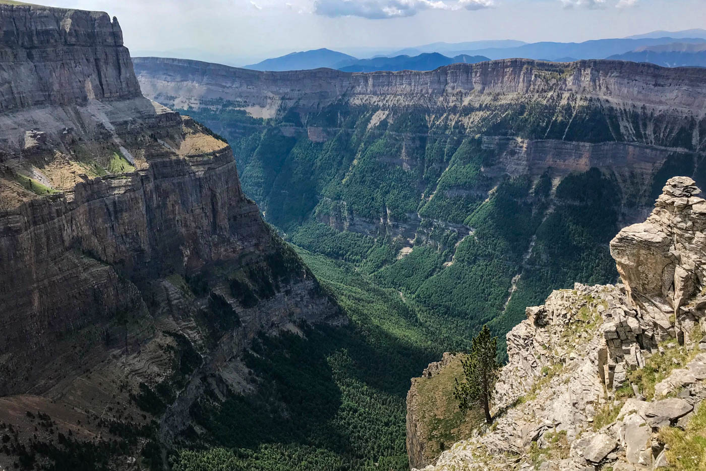 Ordesa National Park (Faja de las Flores)