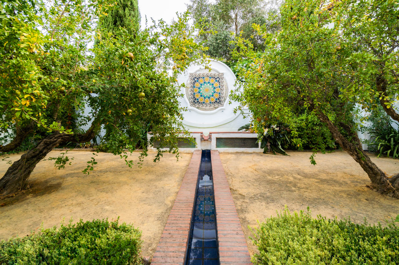 In Spring this area is covered in flowers