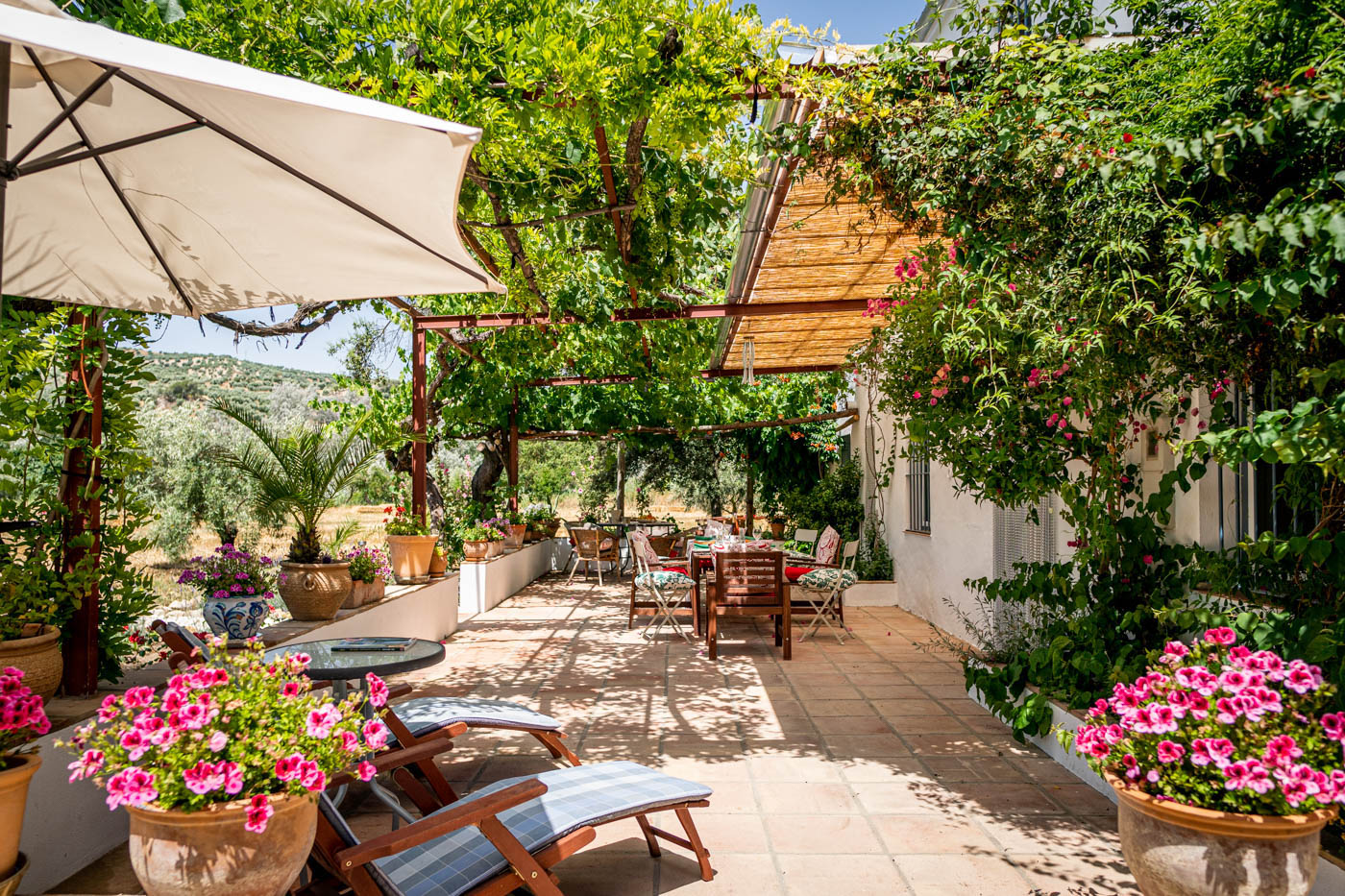 Shaded furnished terraces