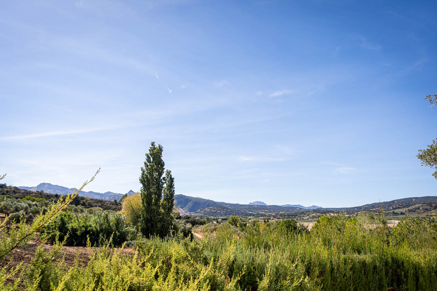 Vistas desde la ventana de la cocina