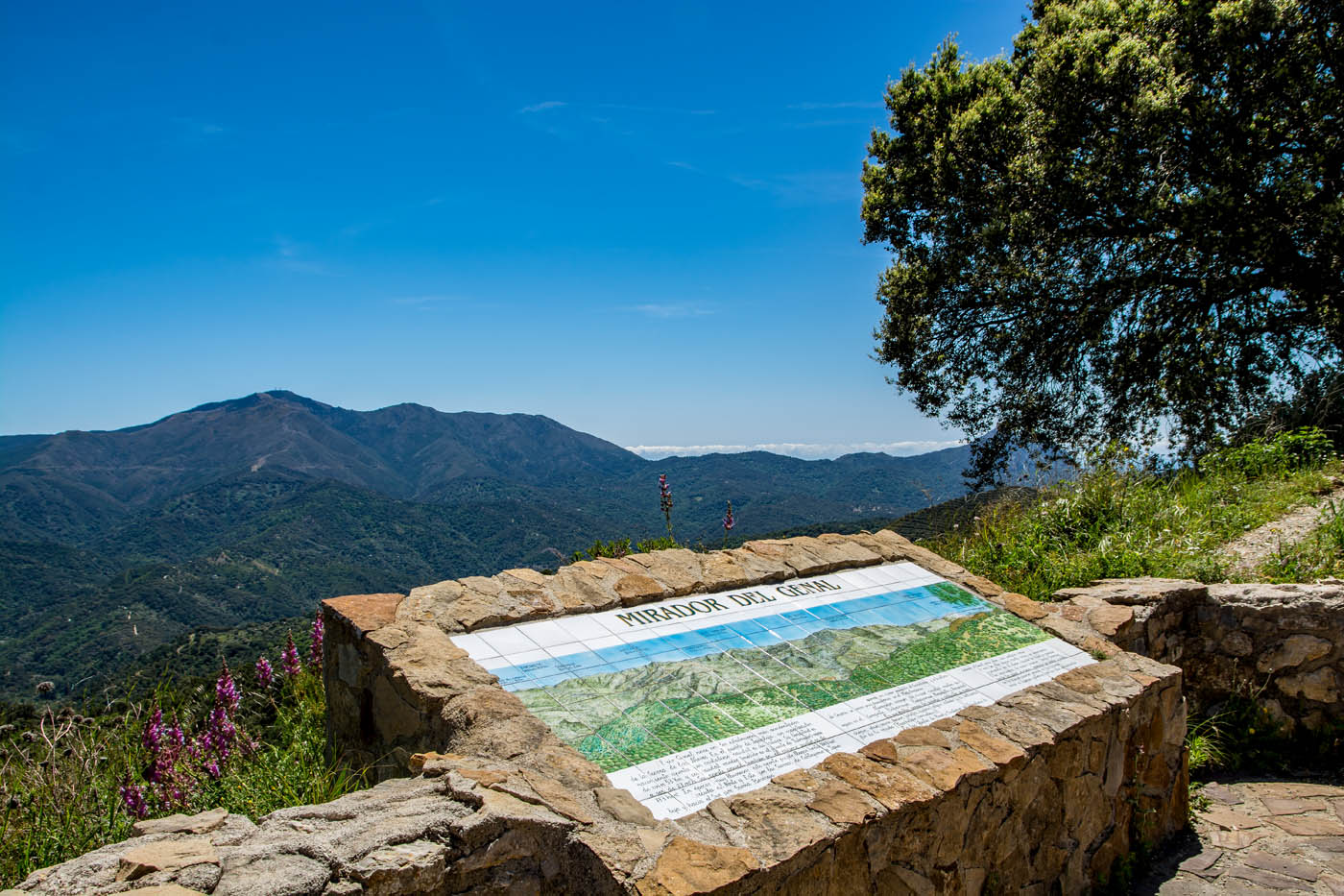 One of the local view points