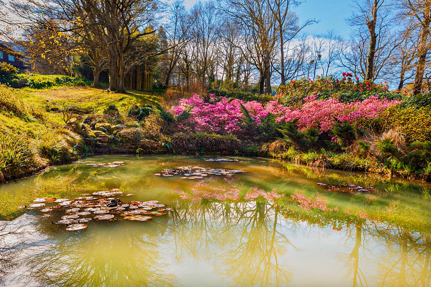 Uno de los cuatro estanques