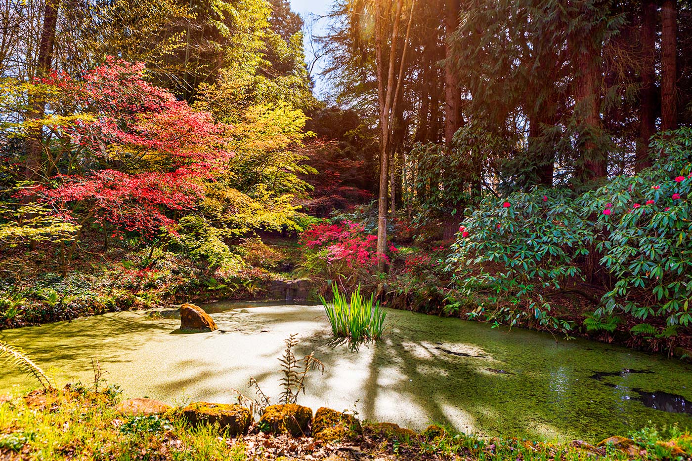 Fascinantes espacios para amantes de la naturaleza