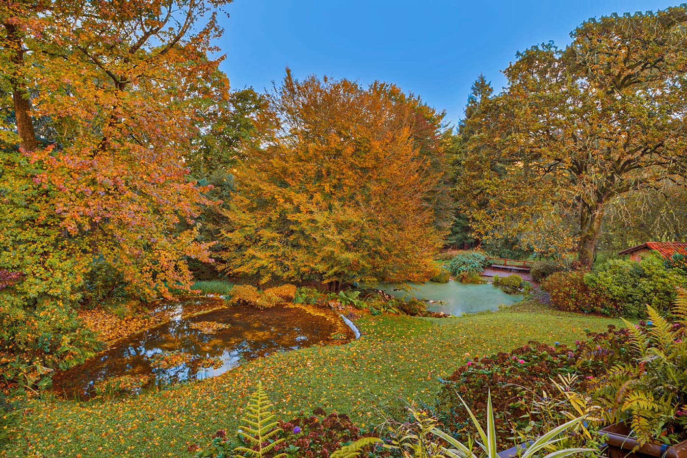 Otoño en tu finca privada