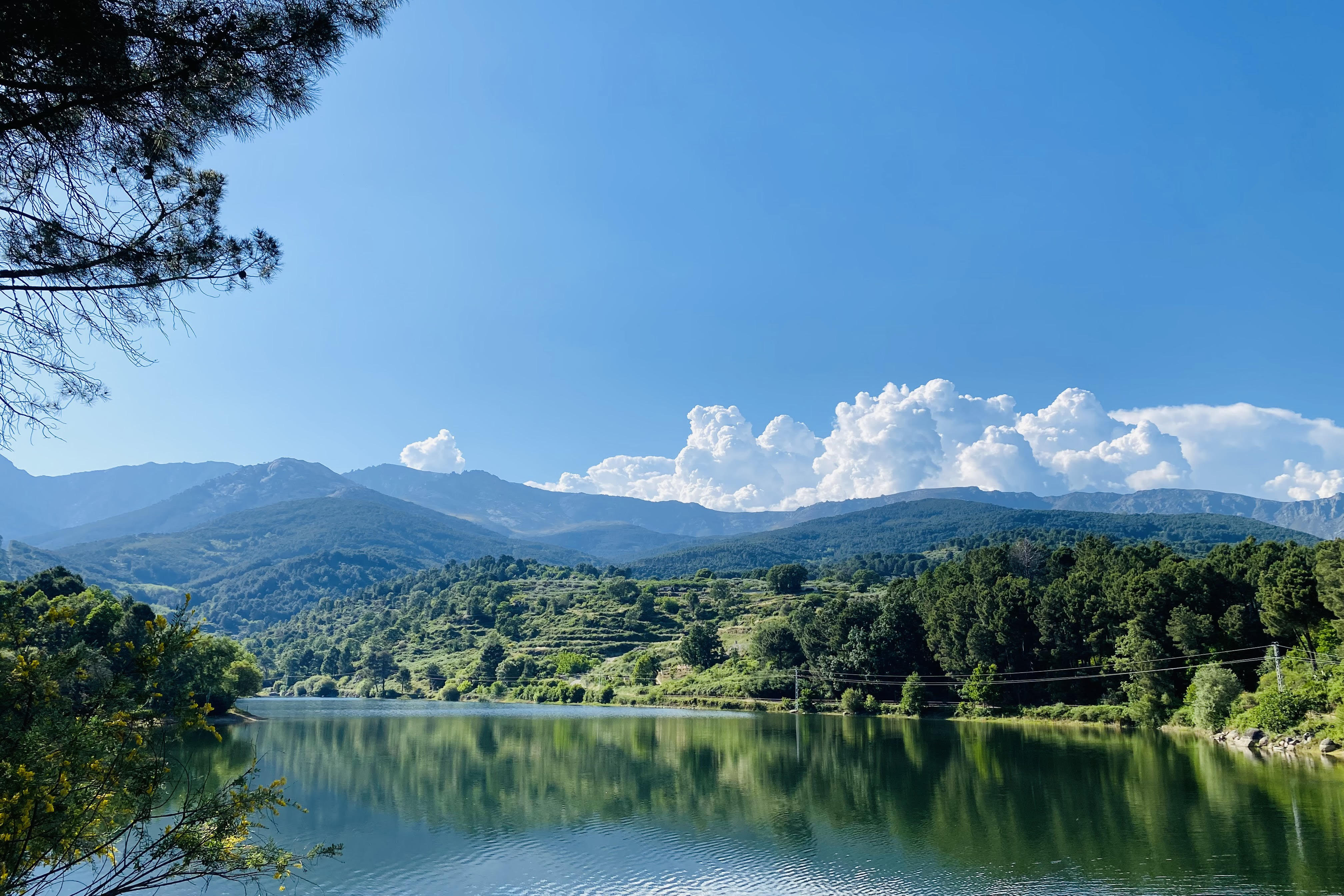 A local lake near the house