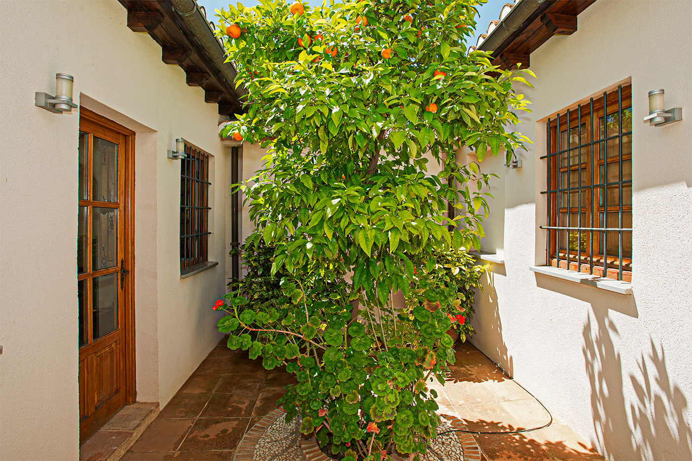 Patio accesed from bedroom 1 (ground floor)
