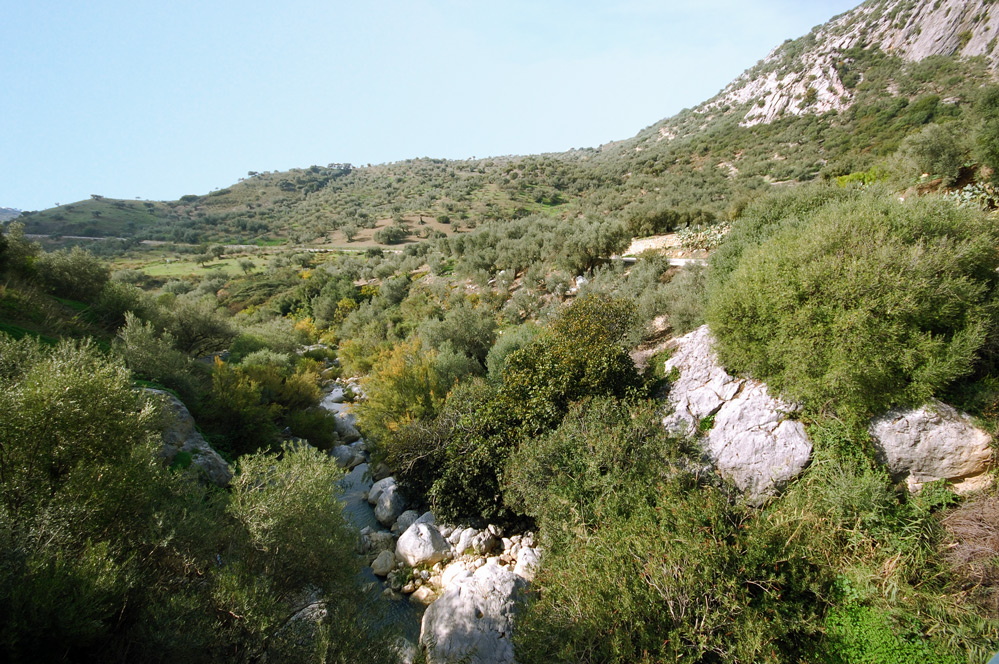 Axarquia Nature