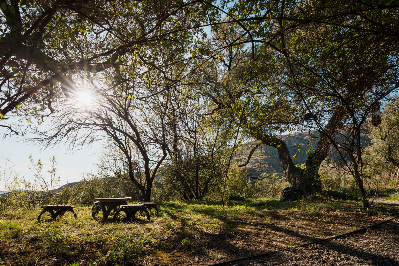 Jardines semi salvajes