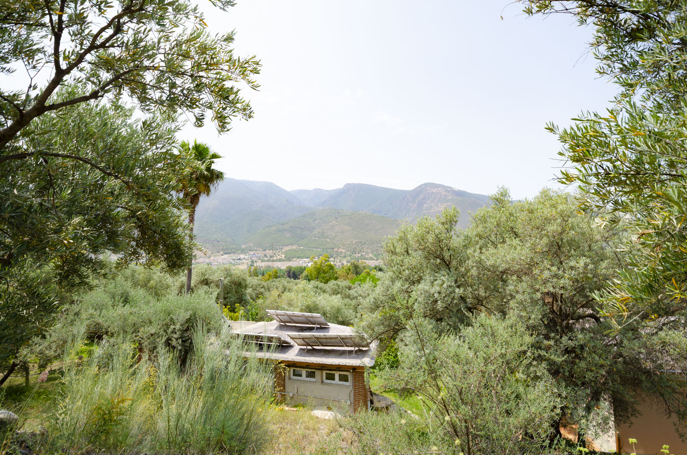 Entorno semi tropical a las afueras de Órgiva