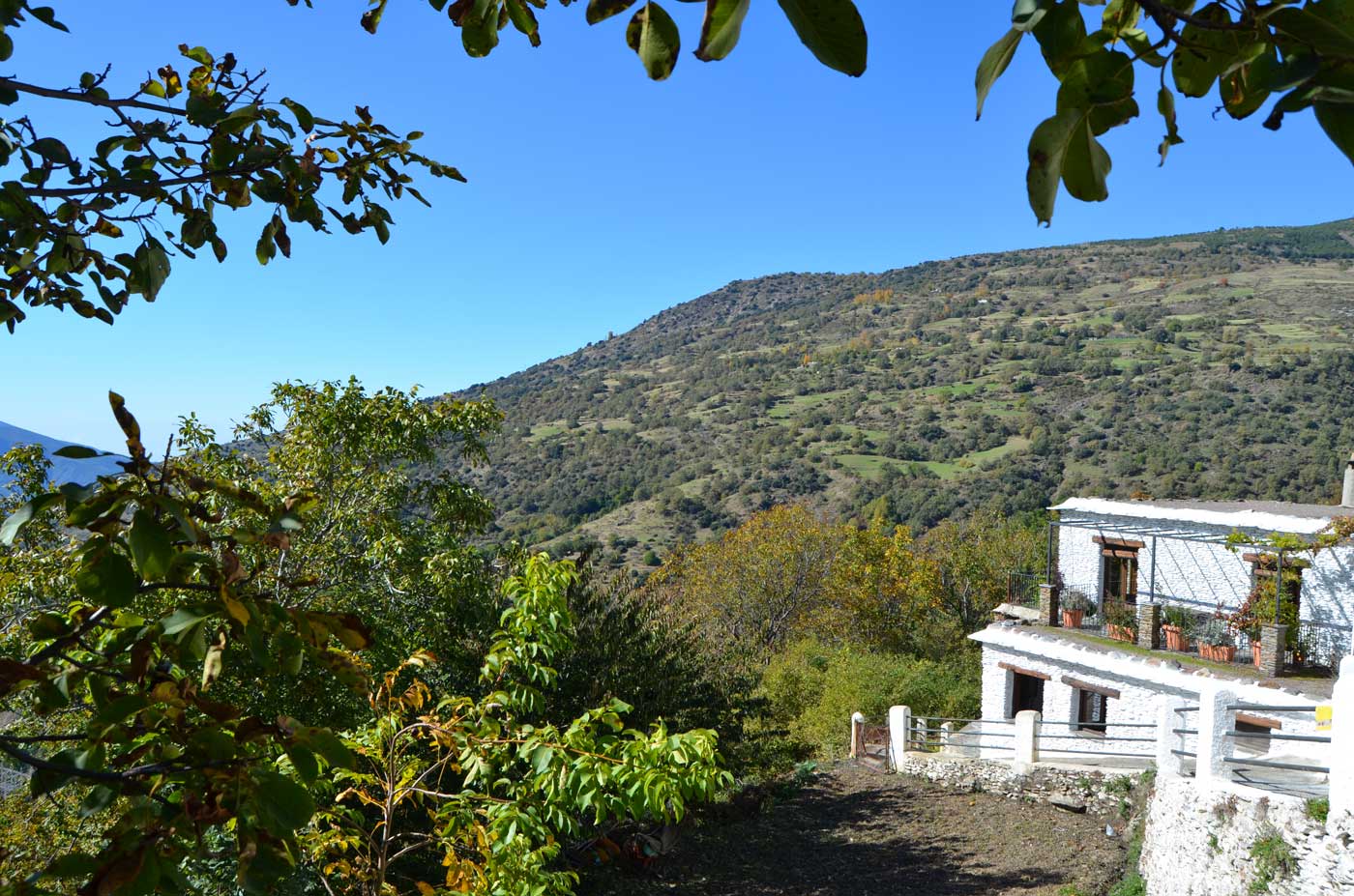 Al borde de un bonito pueblo