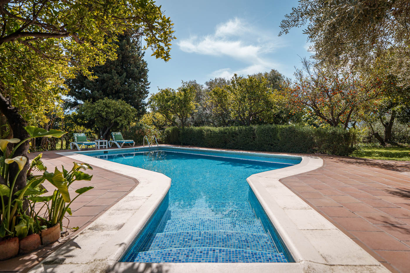 Pool with Roman steps