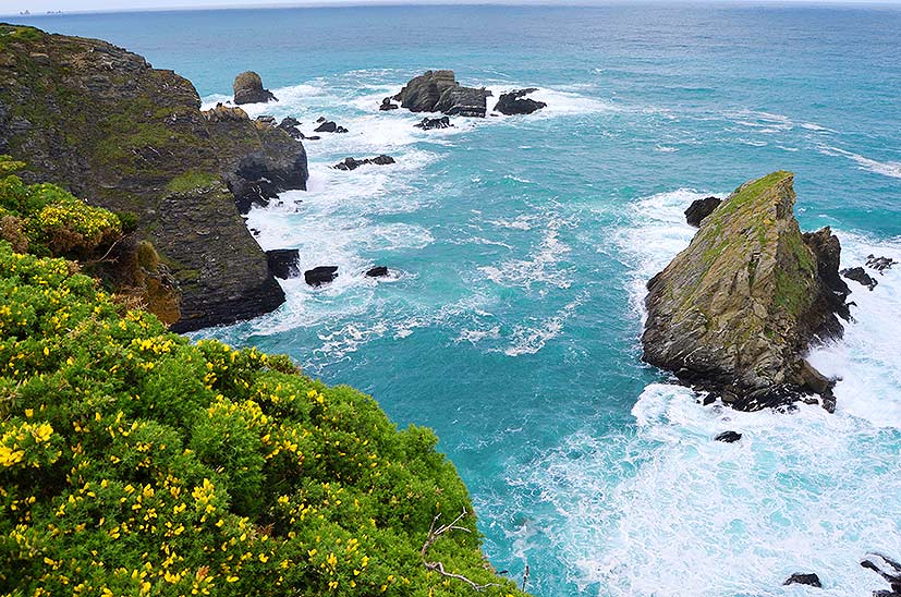 Atlantic Ocean where gooseneck barnacles are caught