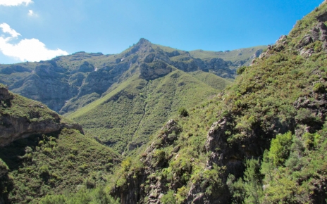 This semi tropical mountain setting is stunning