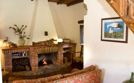 Living room with fireplace