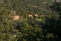 Estate overview