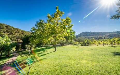 Amplios jardines comunes