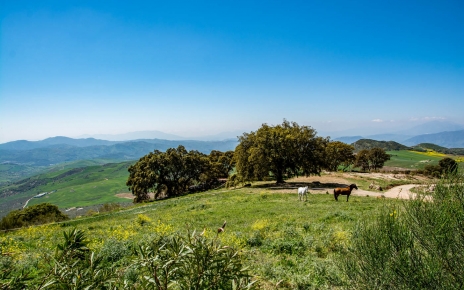 Enjoy walks from your doortsep