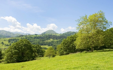 Local scenery at the Cider Country