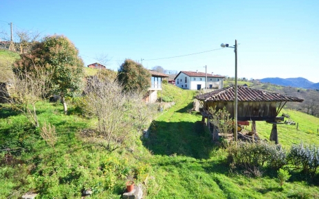 Cottage location on edge of village