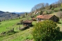 Your holiday cottage is accessed via a short track