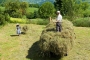 Locals