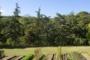 Vista a Montseny