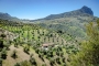 View of the villa and Tajo mountain as backdrop