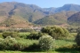 By the Guadalfeo river valley