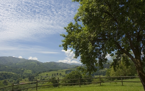 Typical views (photo taken in the Cider country, Piloña)